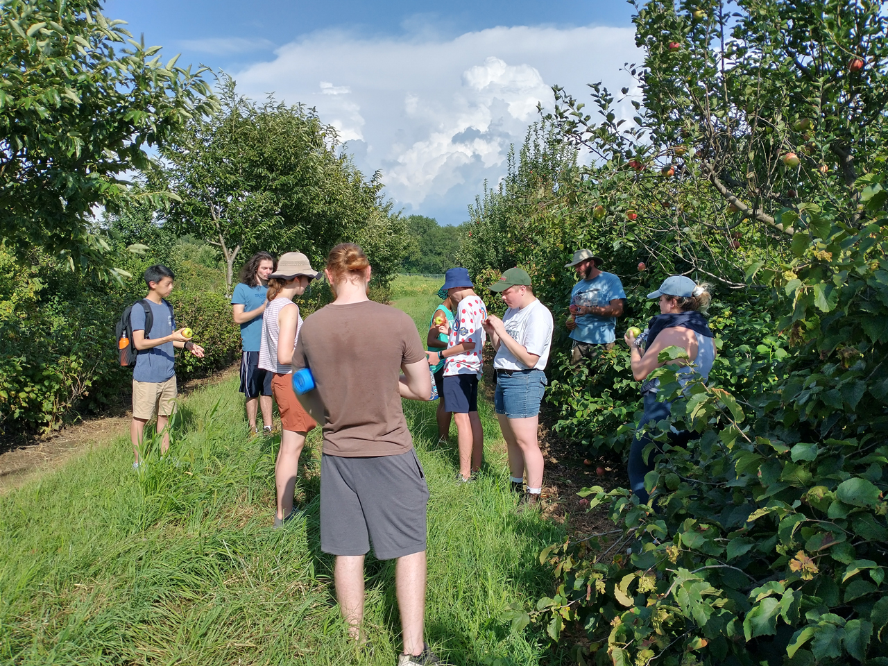 Students picking apples at sustainable farm.