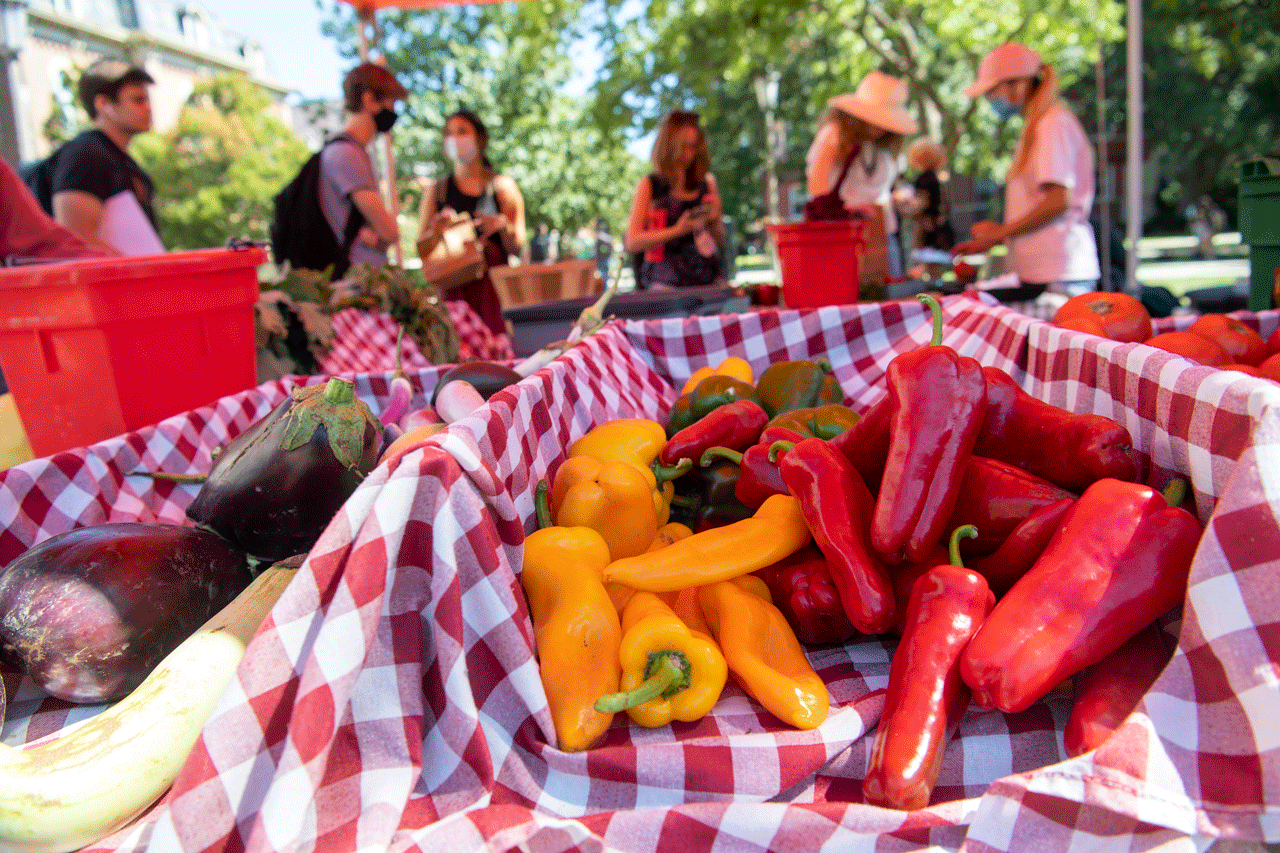 Student-run farm stand on quad.