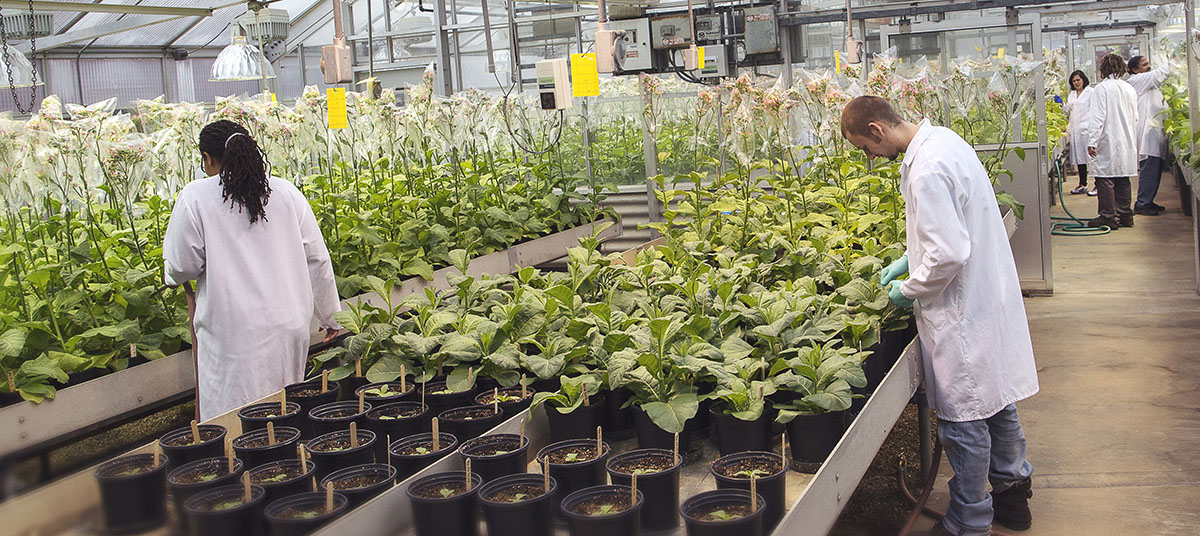Students working in greenhouse.