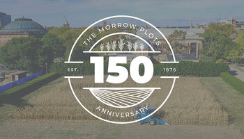 Morrow Plots